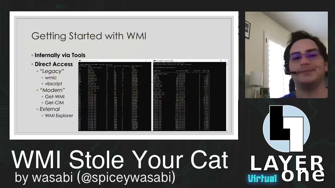 Wasabi WMI Stole Your Cat