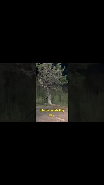 Colorado Wildlife in Florence #colorado #wildlife #rockymoutains