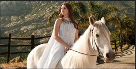 10 Celebrity Family Pets | Adorable Celebrity Pets