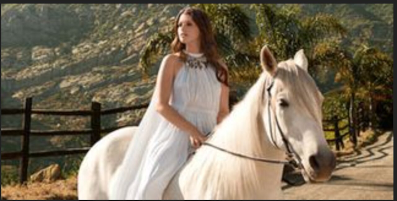 10 Celebrity Family Pets | Adorable Celebrity Pets
