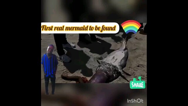 Mermaid Allegedly Washes Up on East Africa