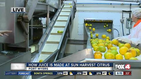 How orange juice is made at Sun Harvest Citrus