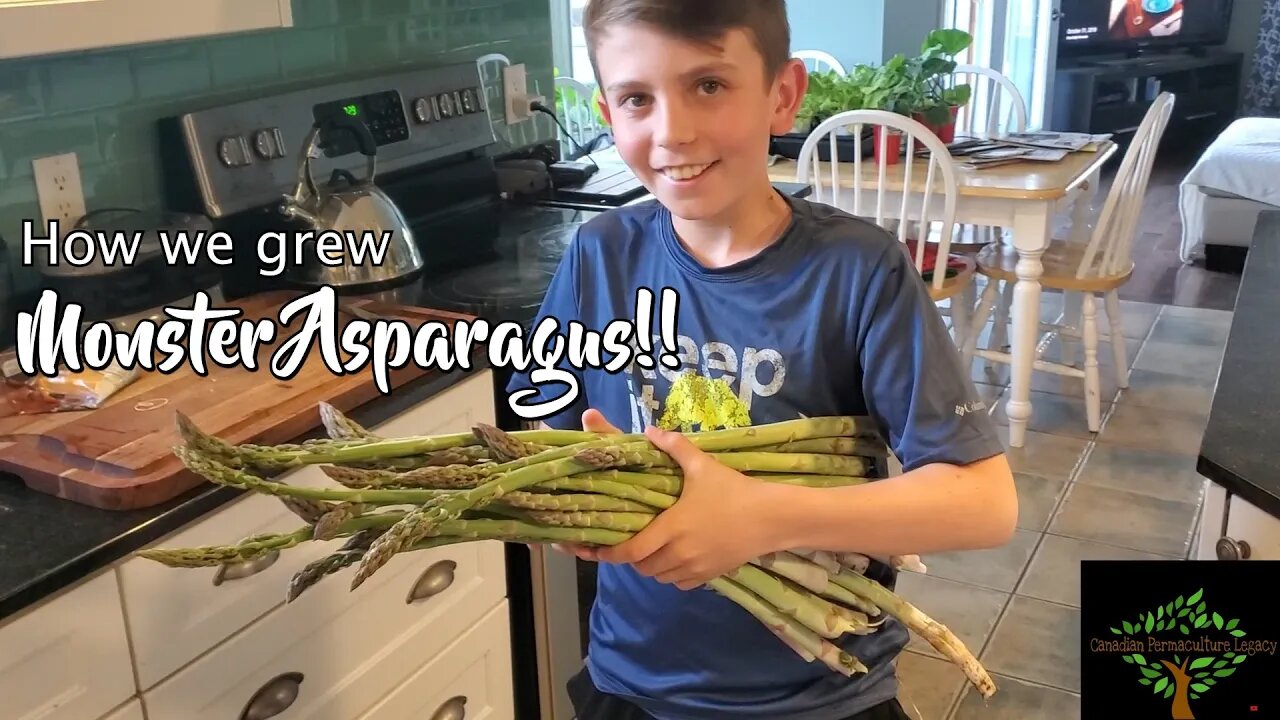 How I made monster asparagus