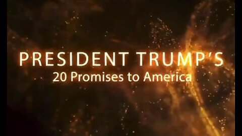 20 PROMISES TO AMERICA (AGENDA 47)