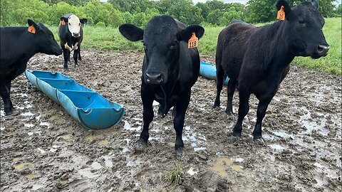 It's a muddy mess!!!