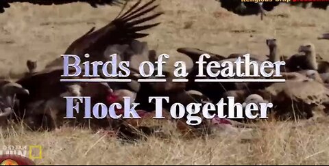 BILLY GRAHAM WAS ULTIMATE EVIL _Break Through Religious Crap-Pt 36i (Birds of a Feather)