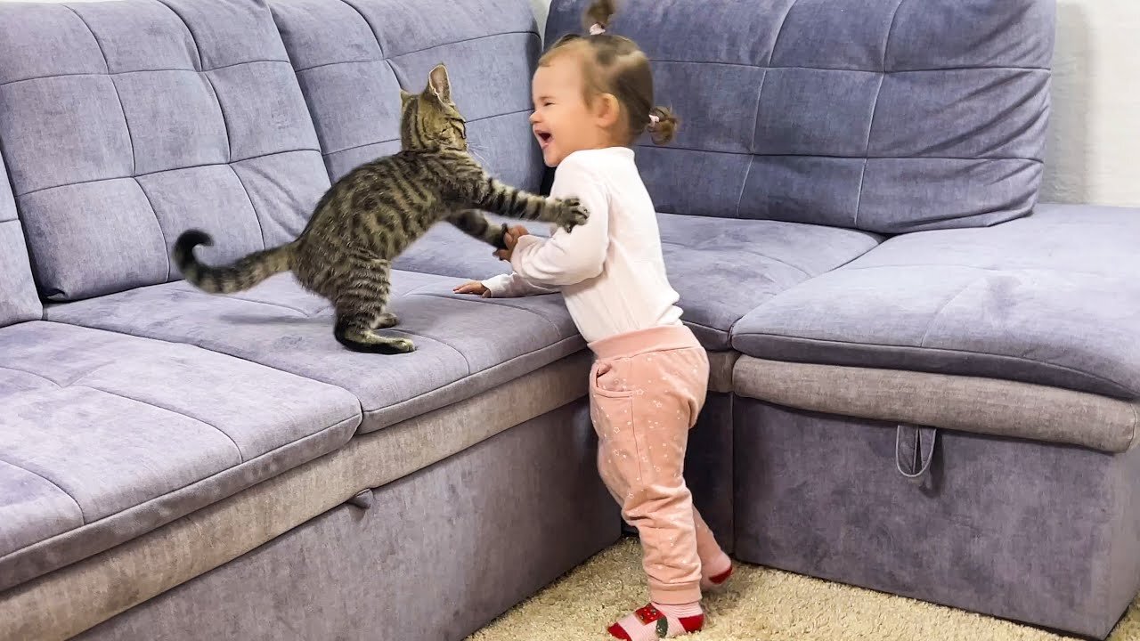 What Does a Kitten do When a Baby Dances Funny Video