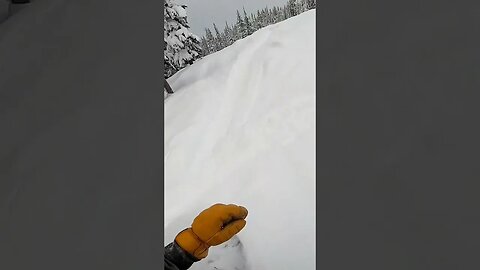 Fresh Pow Turns #short #shorts #snowboarding #snowboard #powder #pow