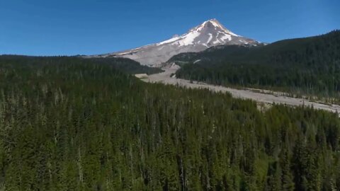 Oregon beautiful scenery city trees and flowers 35