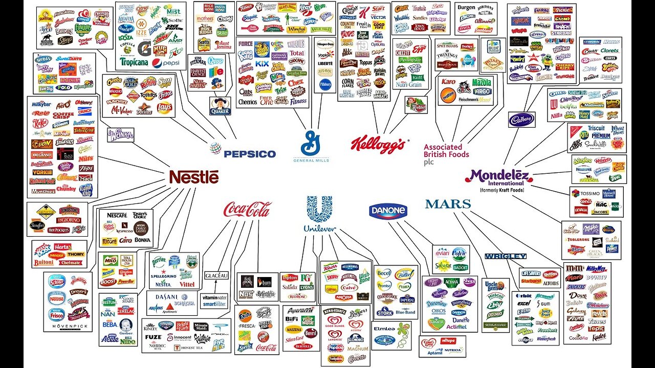 MONOPOLY - Who owns the World?