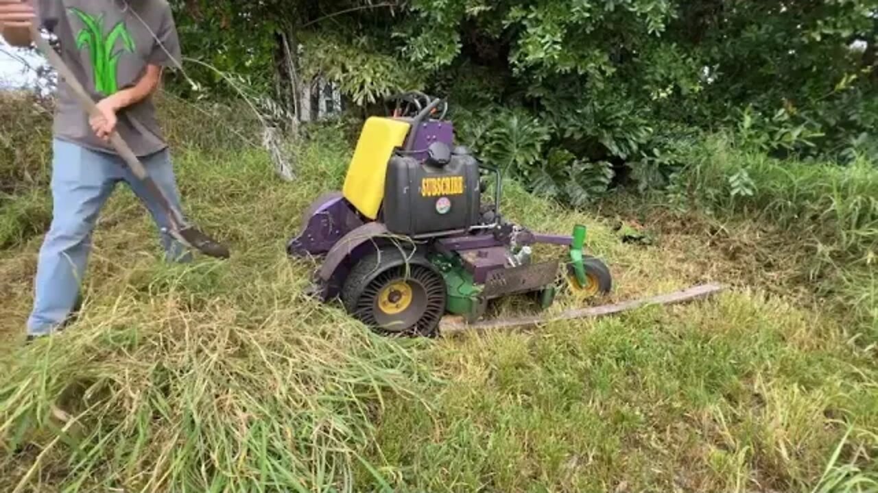 NOBODY would mow this NIGHTMARE of a yard for this KIND lady SO I DID FOR FREE!!! INSANE MAKEOVE