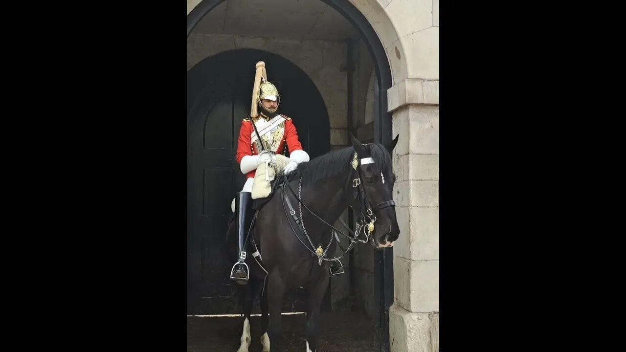 I was about to talk about Karen #horseguardsparade