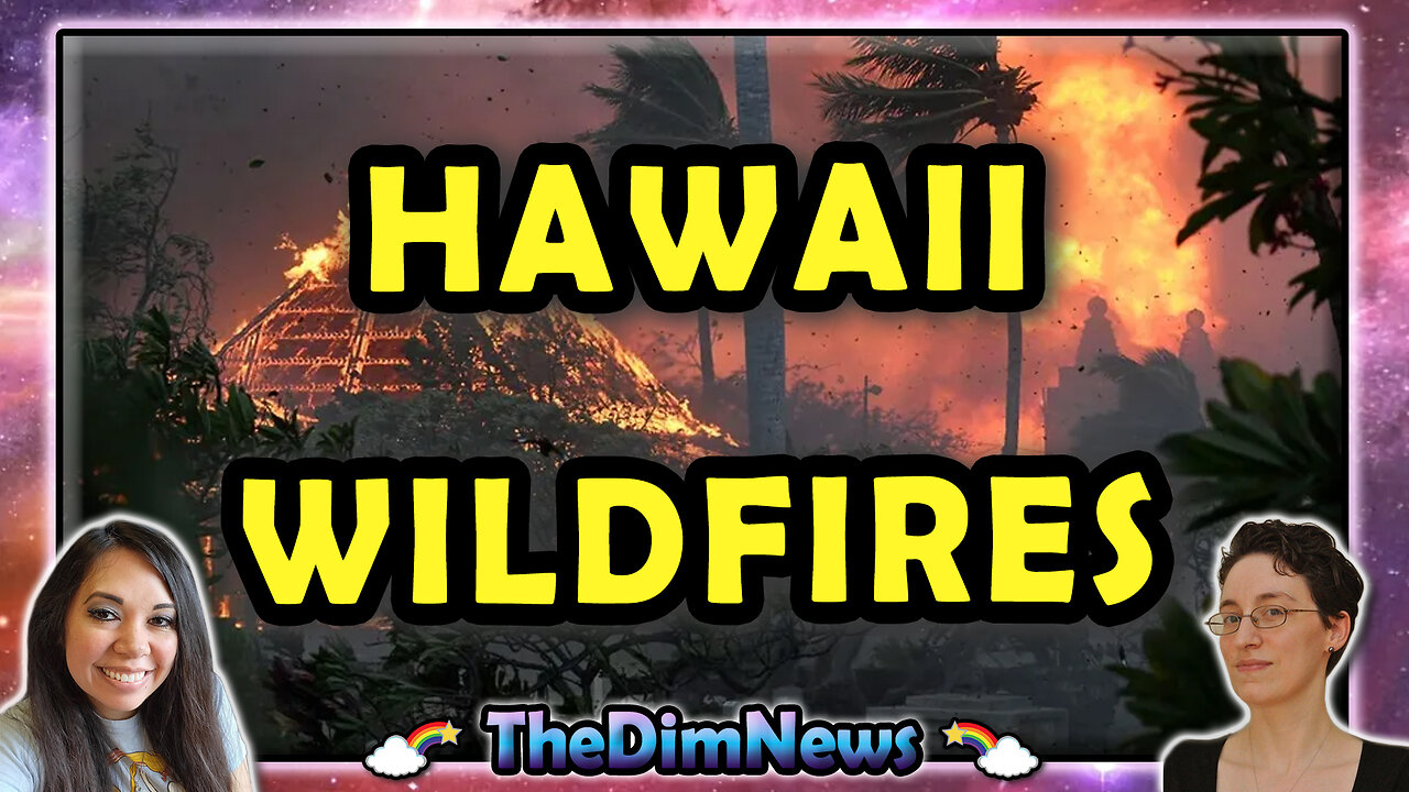 TheDimNews LIVE: Hawaii Wildfires | Rich Men North of Richmond | Argentina's Javier Milei