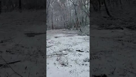 Snow in Georgia!!