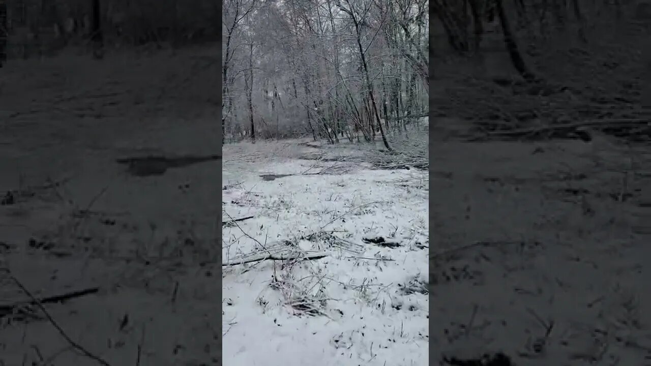 Snow in Georgia!!