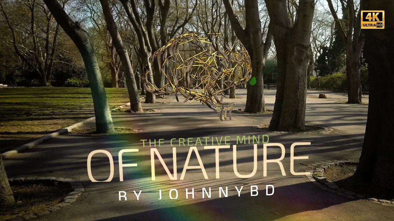 After Effects Template - The Creative mind of Nature