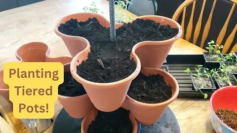 Planting Strawberries! 🍓 Knockoff Greenstalk Planting!