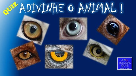 ADIVINHE O ANIMAL PELO OLHO! [GALERA QUIZ]