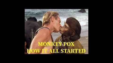 Monkey pox monkey business