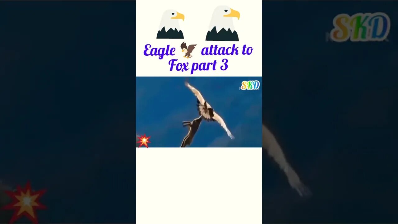 Eagle 🦅 attack fox || part 3®#shorts #shortsfeed #youtubeshorts