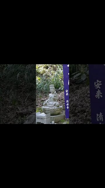 Kiyomizu Temple in Yasugi | Spring 2023 #japan