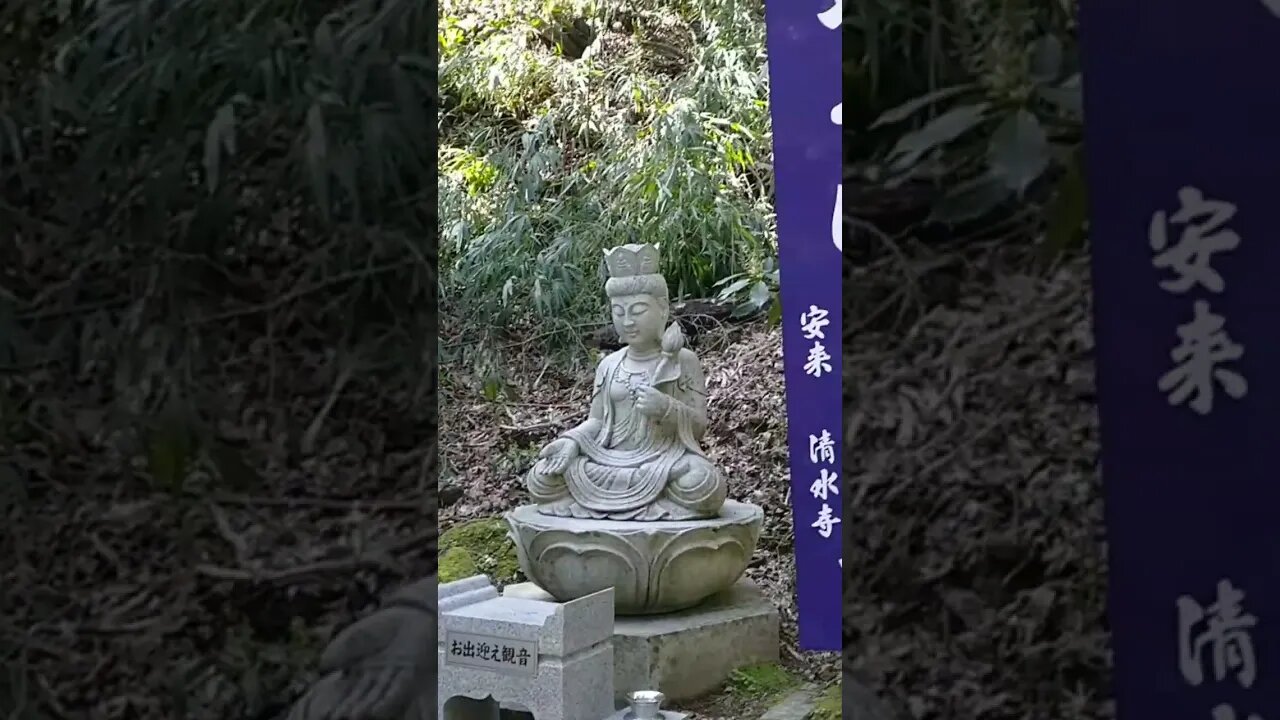 Kiyomizu Temple in Yasugi | Spring 2023 #japan