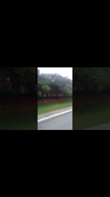 olha o trem chegou 1 #shorts