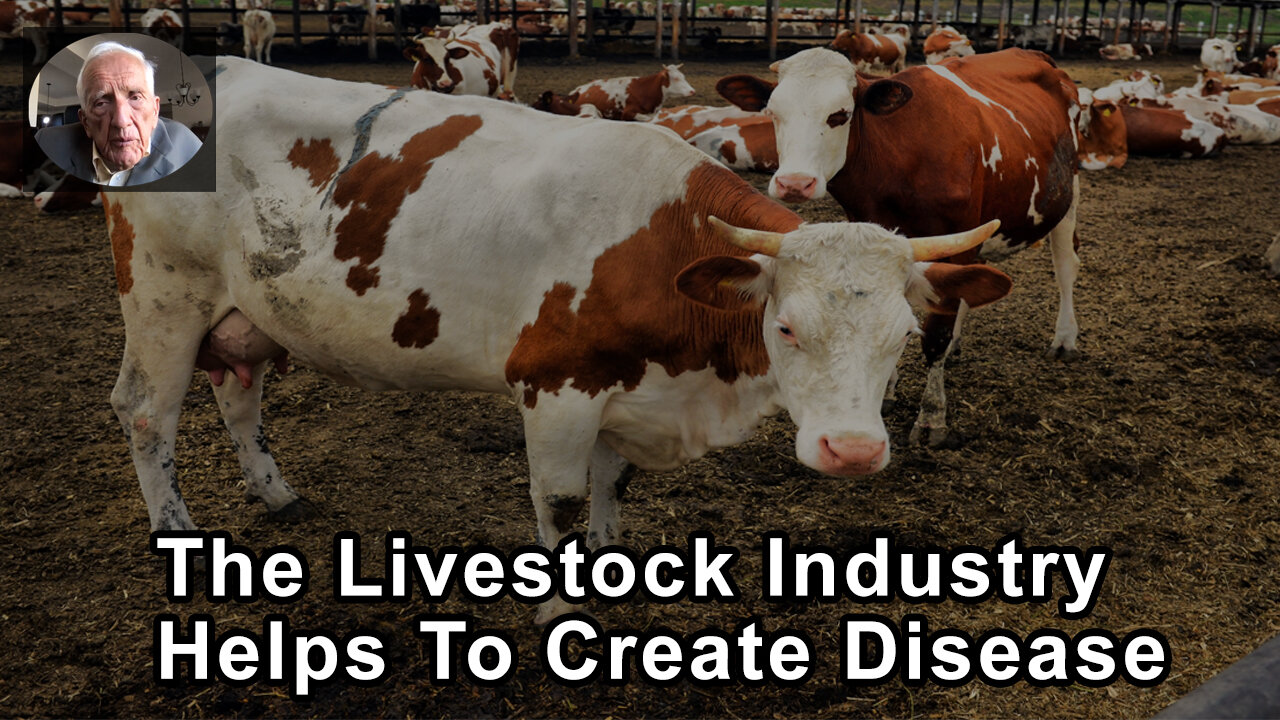 The Livestock Industry Helps To Create Disease Which Turns People Into Customers For The Use Of Drug