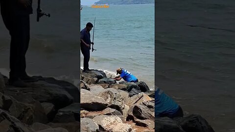 #shorts #shortsvideo #viral #goa #youtubeshorts #rodfishing #fishingspot #goatrip #travel #northgoa