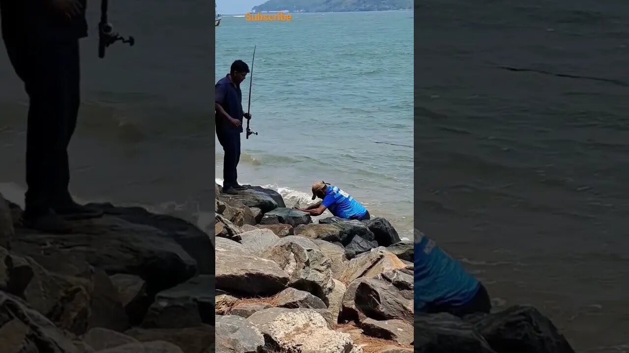 #shorts #shortsvideo #viral #goa #youtubeshorts #rodfishing #fishingspot #goatrip #travel #northgoa