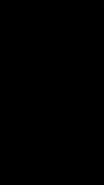 Rocky and Bullwinkle