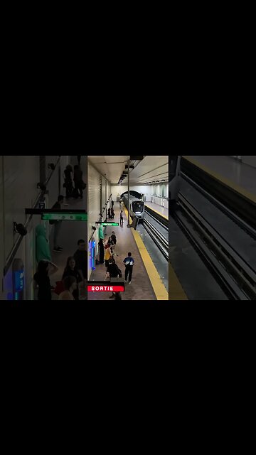 Stunning montreal metro #viralvideo