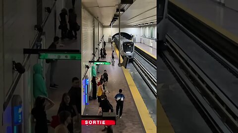 Stunning montreal metro #viralvideo