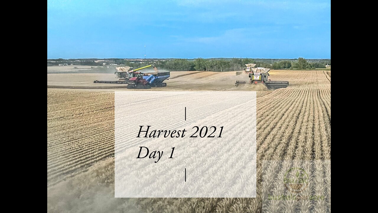 Harvest 2021 Day 1