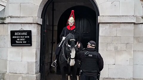 Horse comes out of box scares tourist #horseguardsparade
