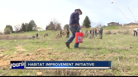 Habitat improvement initiative