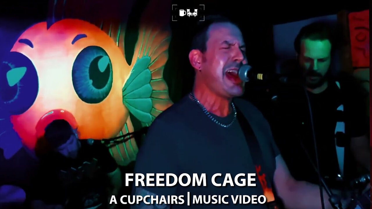 FREEDOM CAGE live at Poco Loco | Cupchairs.com