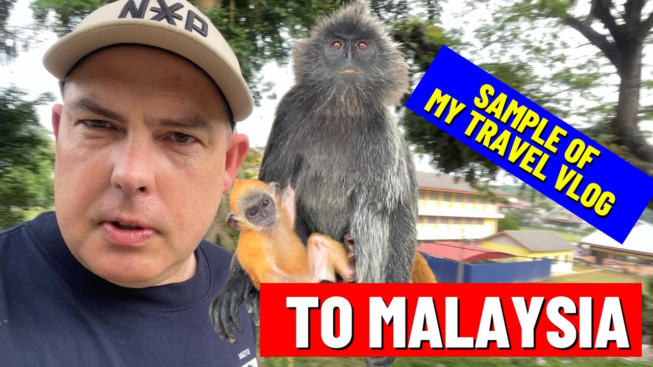 Malaysian Holiday Vlog Sample, From Hotel from Hell, Batu Caves, Fire Flies & more