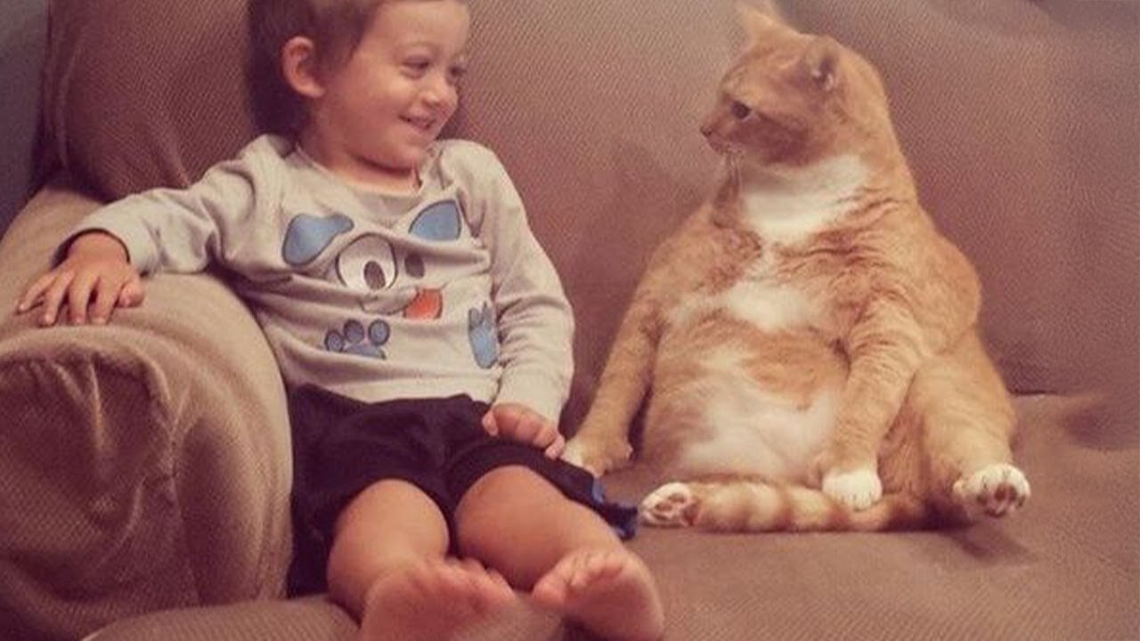 When your child and cat share a home, their love is unconditional 💕