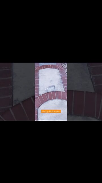 HAPPY HALLOWEEN 🎃 #shorts #omgitsdezi #HALLOWEEN