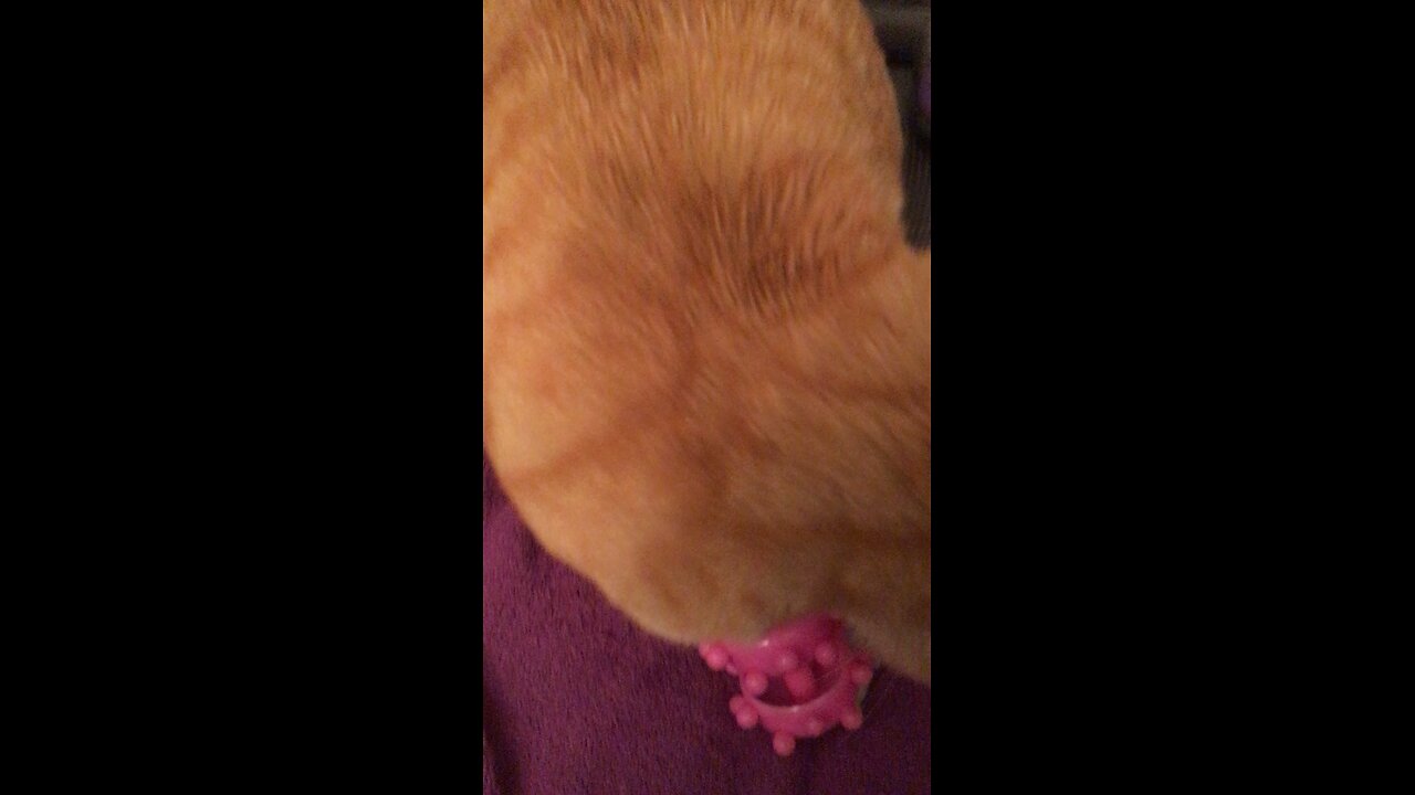 Toy or Massager