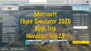 MSFS2020 - Bush Trip - Nevada - Leg 25
