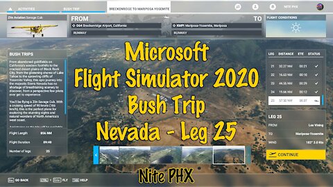 MSFS2020 - Bush Trip - Nevada - Leg 25