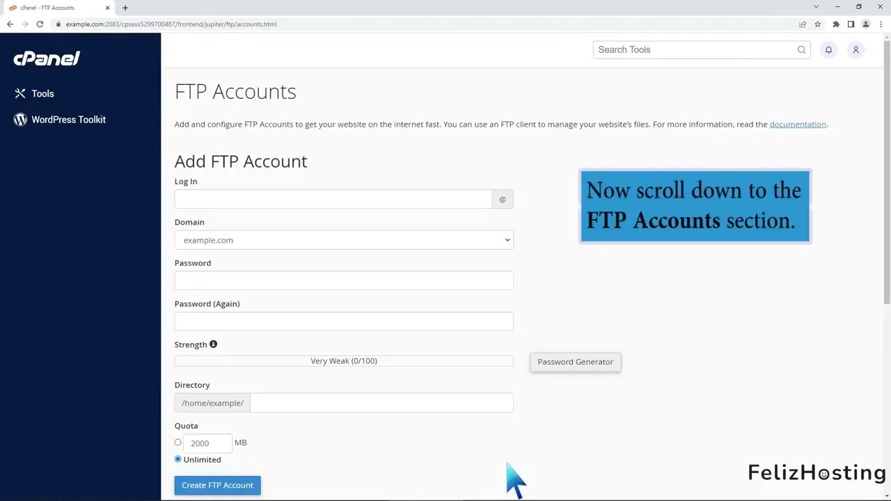 How to change the password of the File Transfer Protocol FTP Account in cPanel FelizHosting