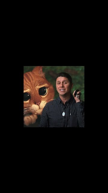 👍🏼 Puss in Boots - Dad Approved👍🏼