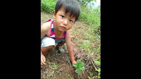 Daryl farming
