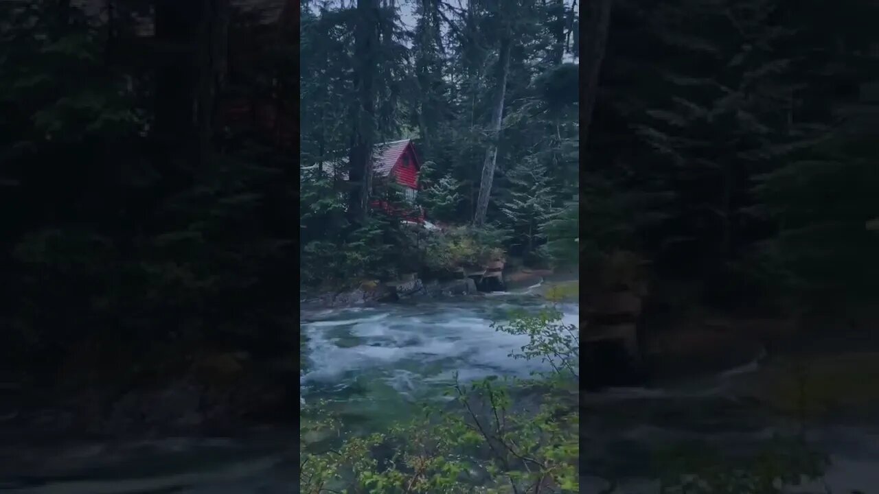 Cabin In The Woods tiktok andrewjgolesch