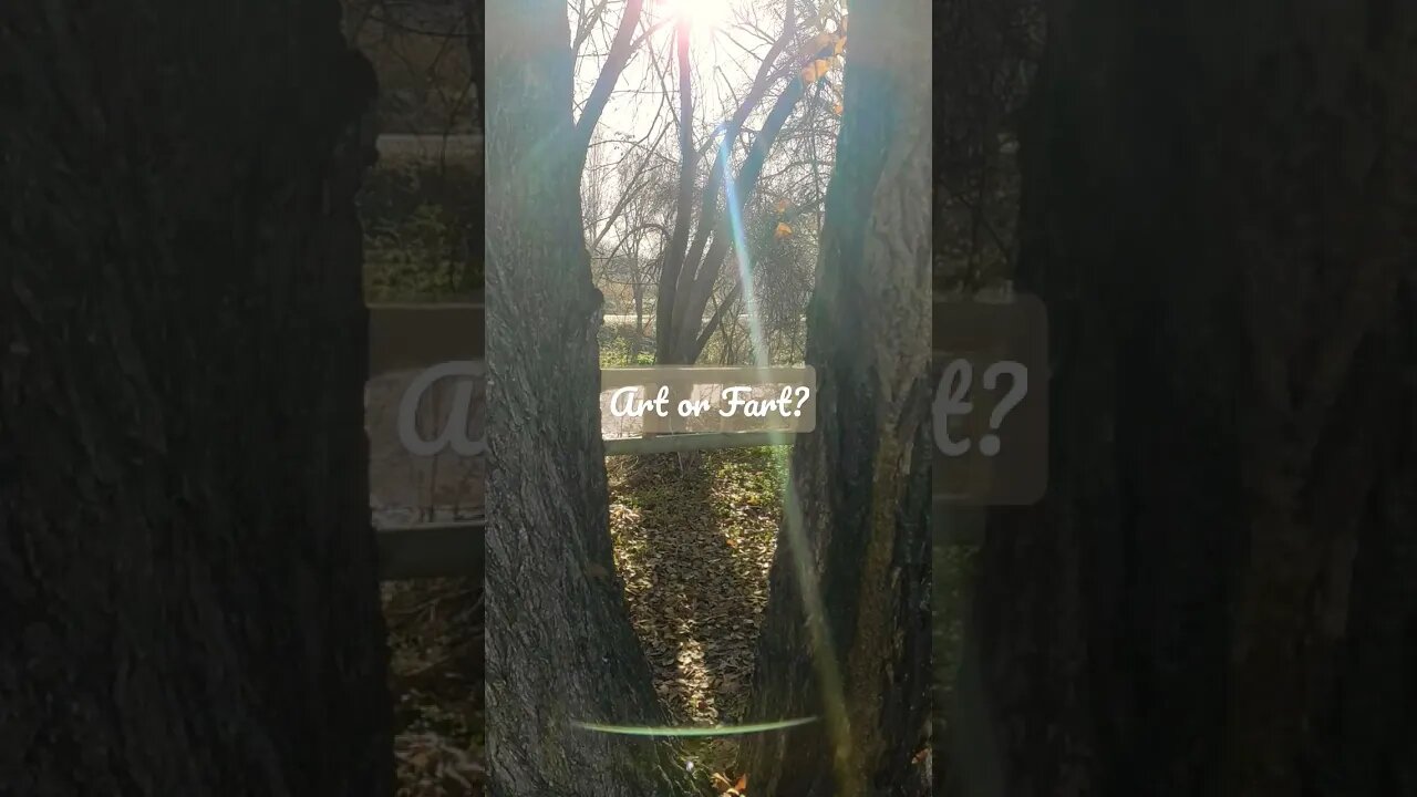 Art or Fart? Between two trees #nature #beauty
