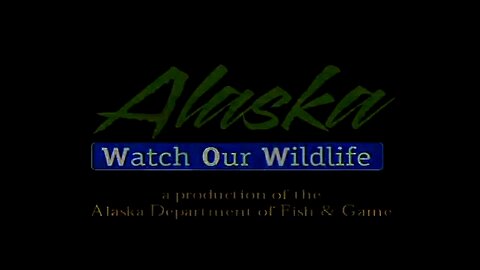 NATIONAL GEOGRAPHIC ALASKA WILDLIFE