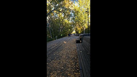 walking test video